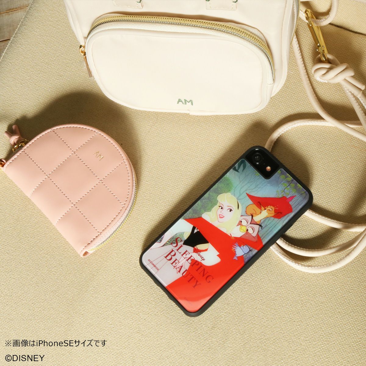 眠れる森の美女 アクセサリーケース シネマコレクション cinemacollection 眠れる森の美女 アクセサリー