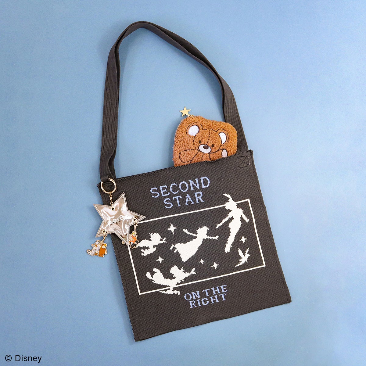 DISNEY COLLECTIONピーター・パン/フラッフィポーチ マイケルの